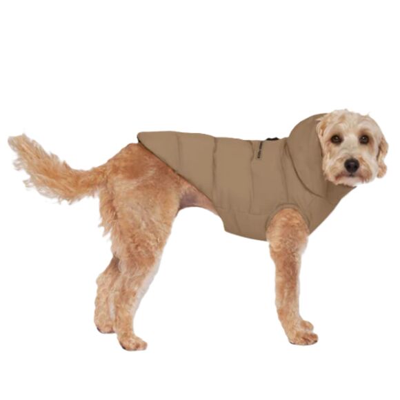 Canada Pooch Waterproof Puffer Jacket, medium breed - Picture 1 of 9